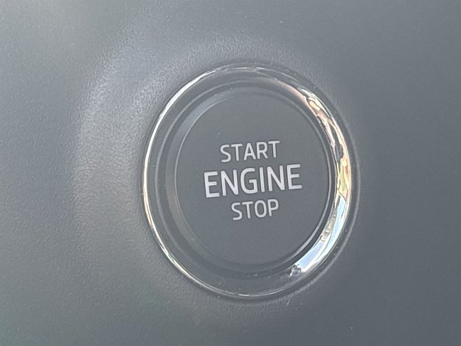 20199177.jpg