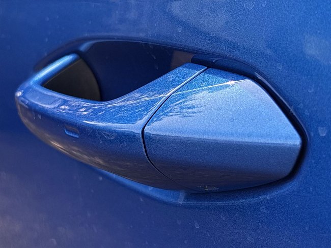 20199169.jpg