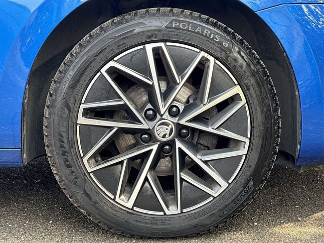 20199175.jpg