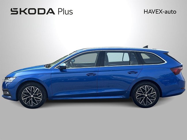 20199195.jpg
