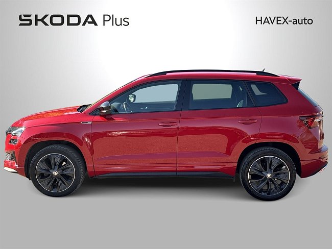 20199175.jpg