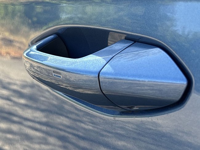 20199169.jpg