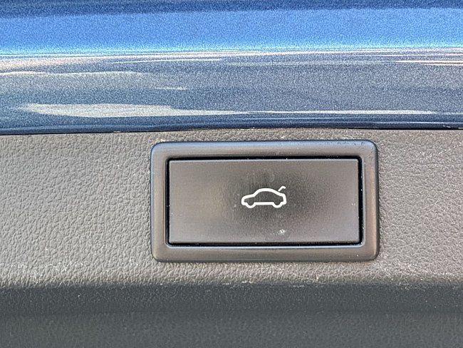 20199175.jpg