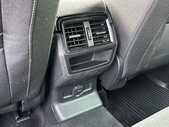 20199169.jpg