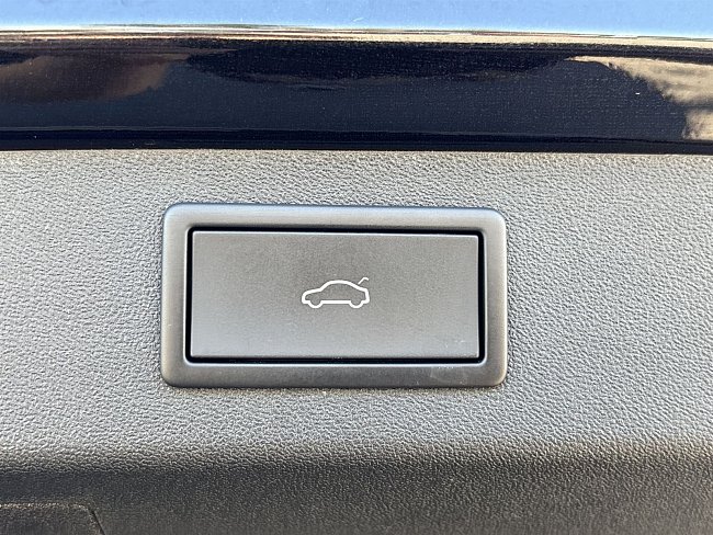 20199286.jpg