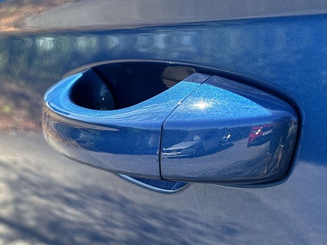 20199295.jpg