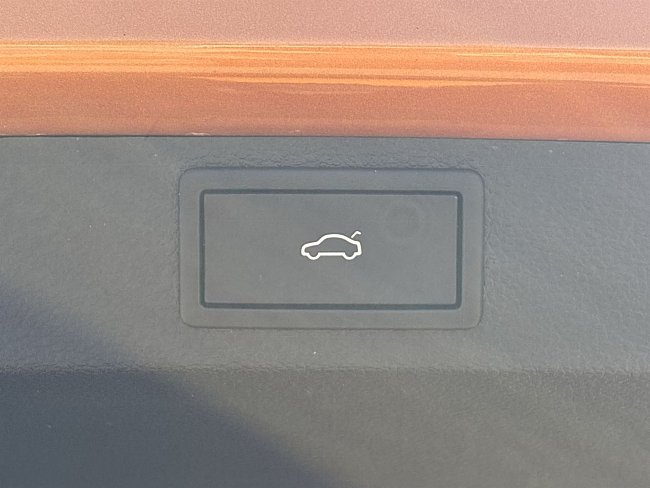 20199288.jpg