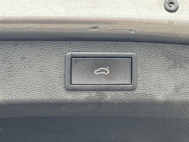 20199290.jpg