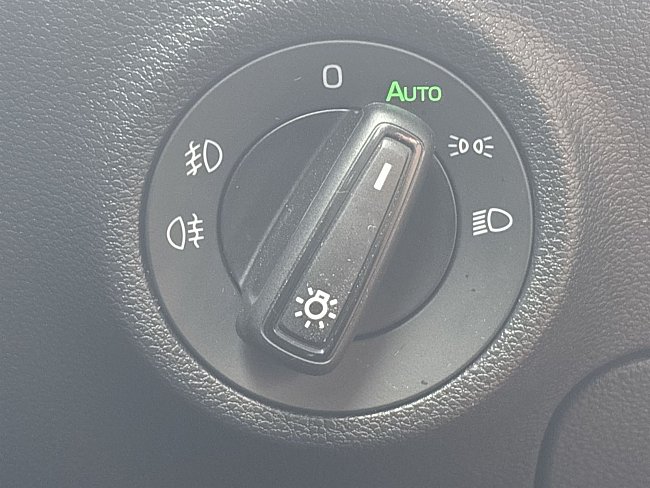 20199277.jpg