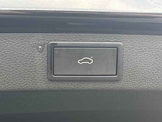 20199291.jpg