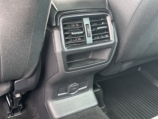 20199294.jpg