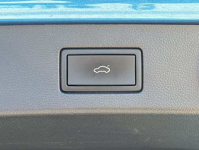 20199285.jpg
