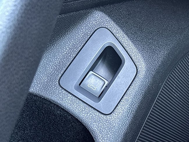 20199290.jpg