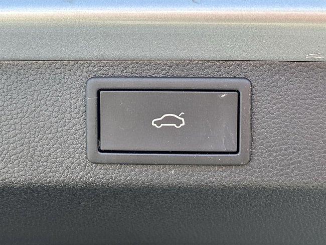 20199290.jpg