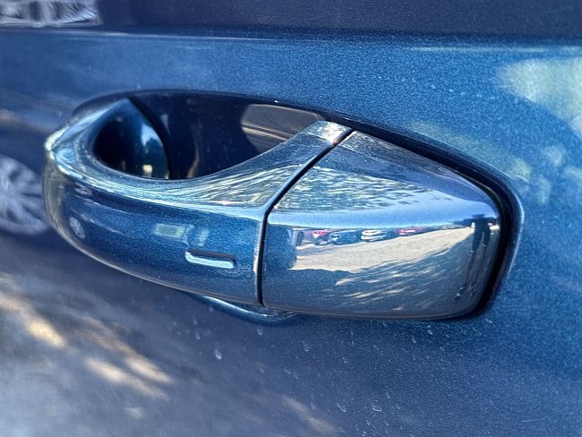 20199290.jpg