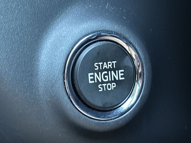 20199293.jpg