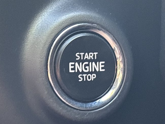 20199288.jpg
