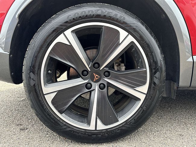 20199284.jpg