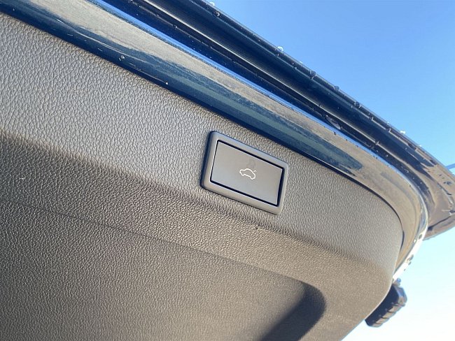 20199288.jpg