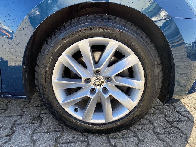 20199290.jpg