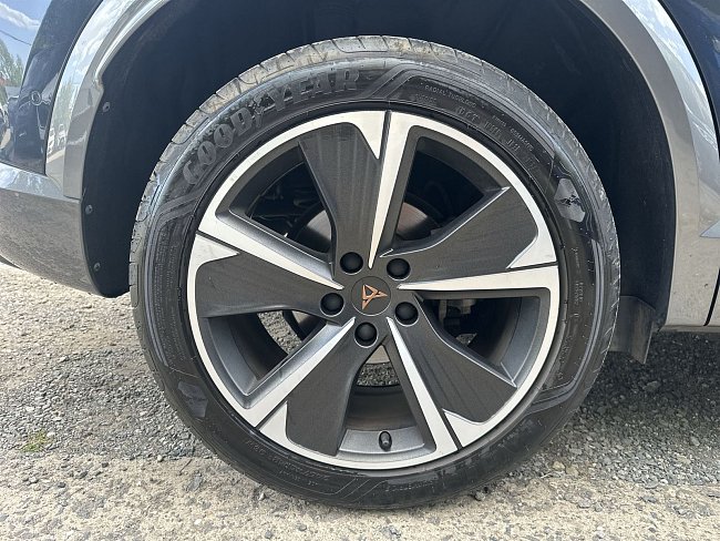 20199281.jpg