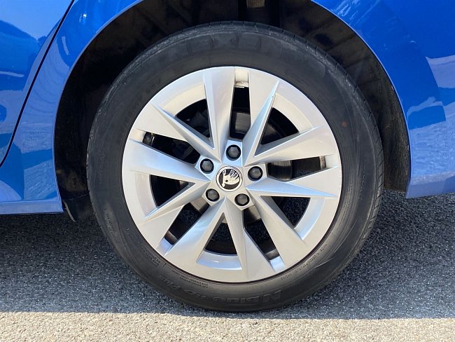 20199253.jpg