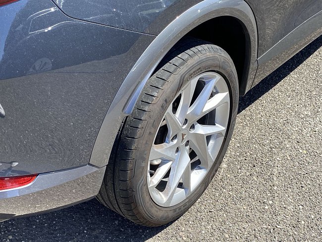 20199254.jpg