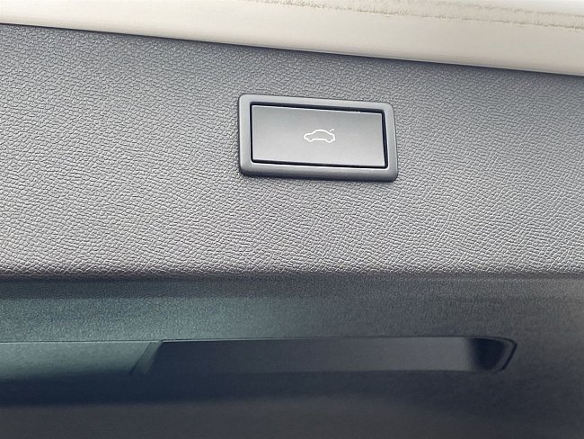 20199268.jpg
