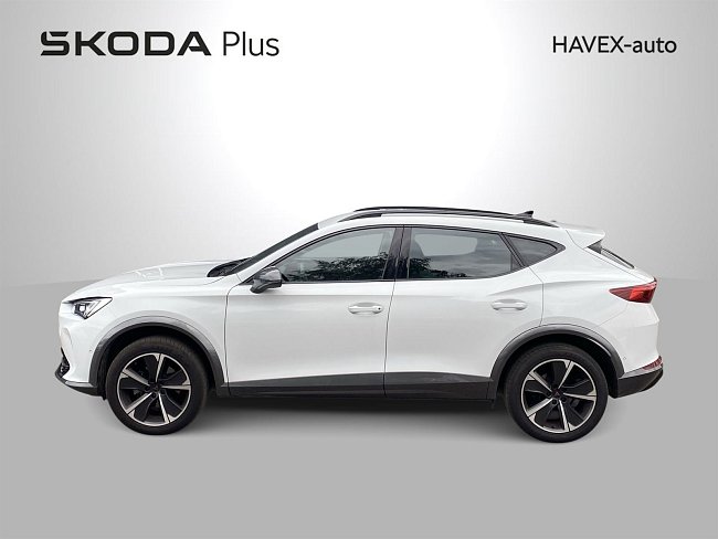 20199280.jpg