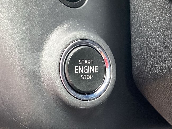 20199290.jpg