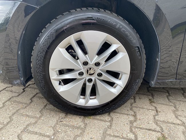 20199295.jpg