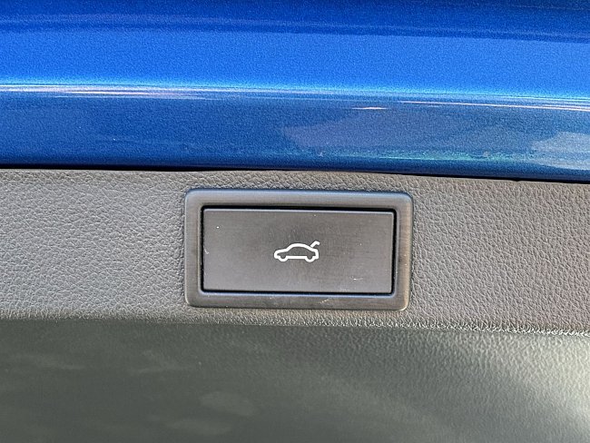 20199269.jpg