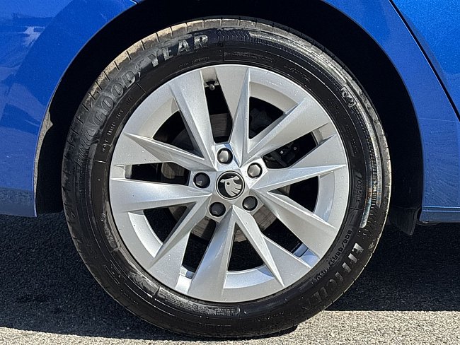 20199270.jpg