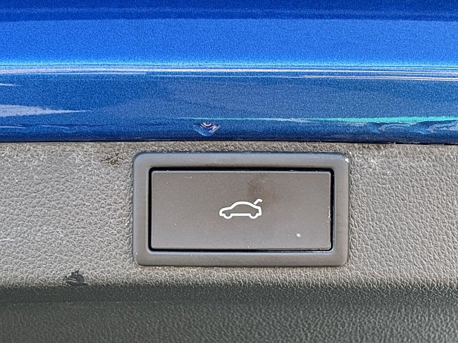 20199275.jpg