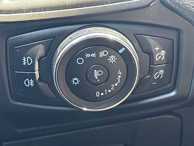 20199287.jpg