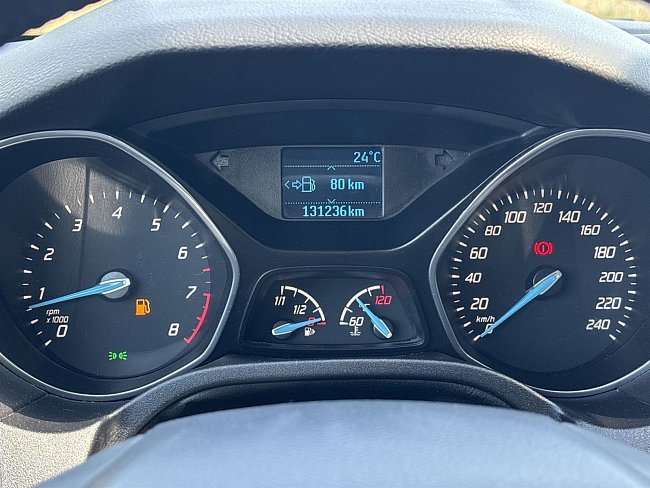 20199295.jpg