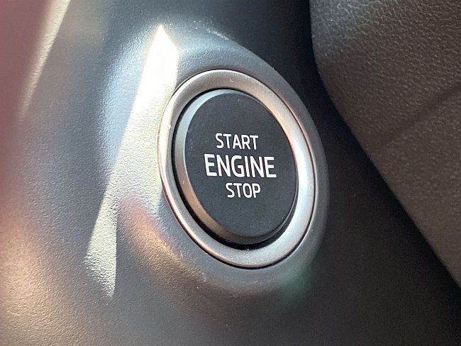 20199273.jpg
