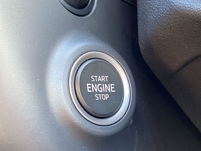 20199277.jpg