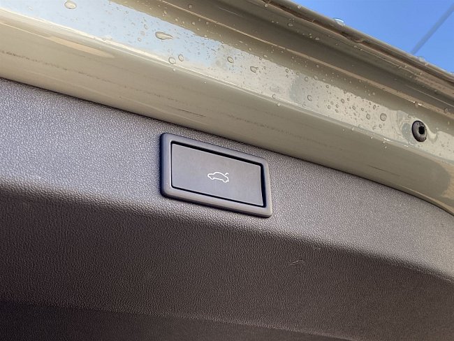 20199280.jpg