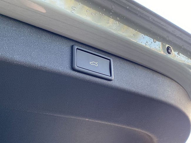 20199242.jpg