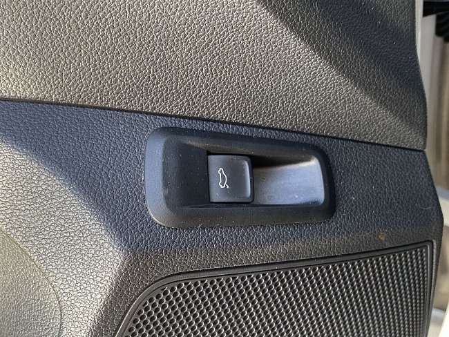 20199237.jpg