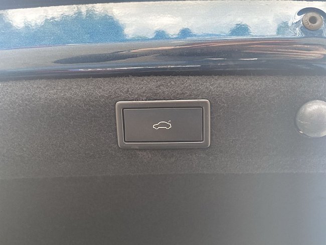 20199234.jpg