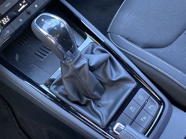 20199261.jpg