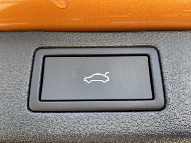 20199275.jpg
