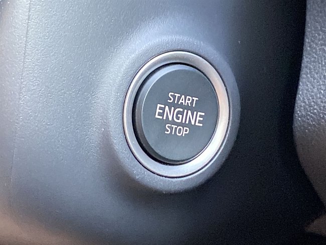 20199250.jpg