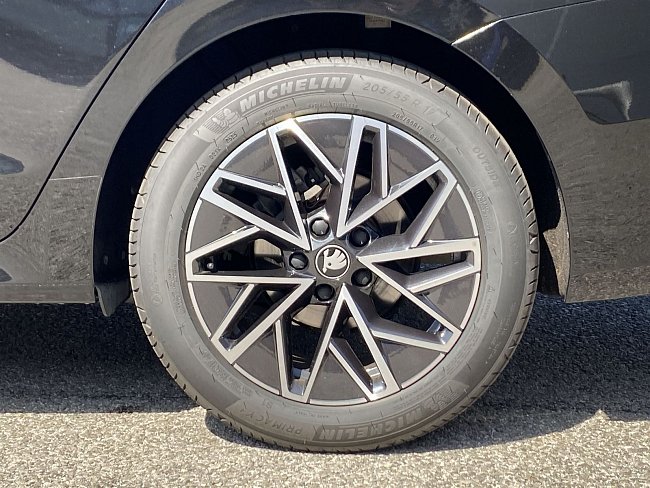20199281.jpg