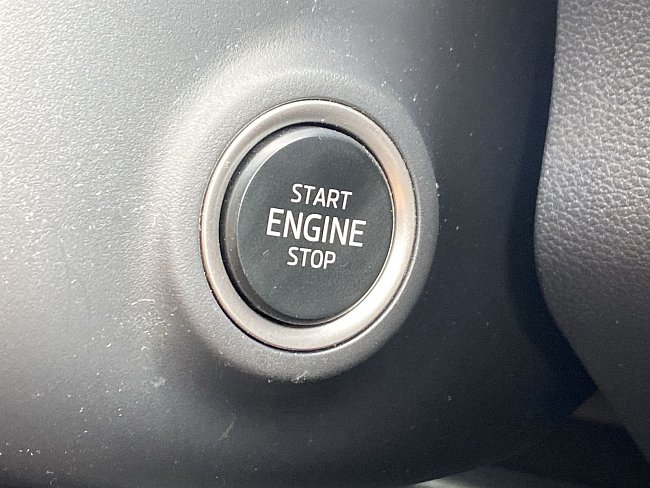 20199241.jpg