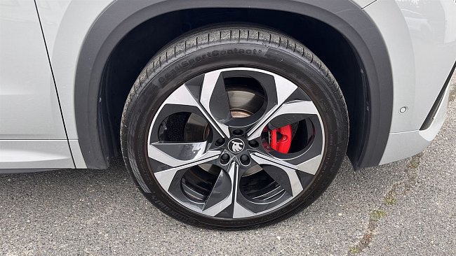 20199259.jpg