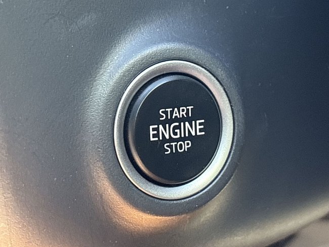 20199242.jpg