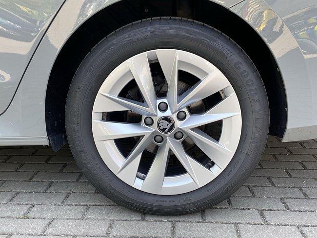20199293.jpg